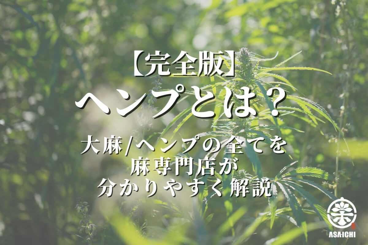 【完全版】ヘンプとは?大麻/ヘンプの全てを、麻専門店が分かりやすく解説