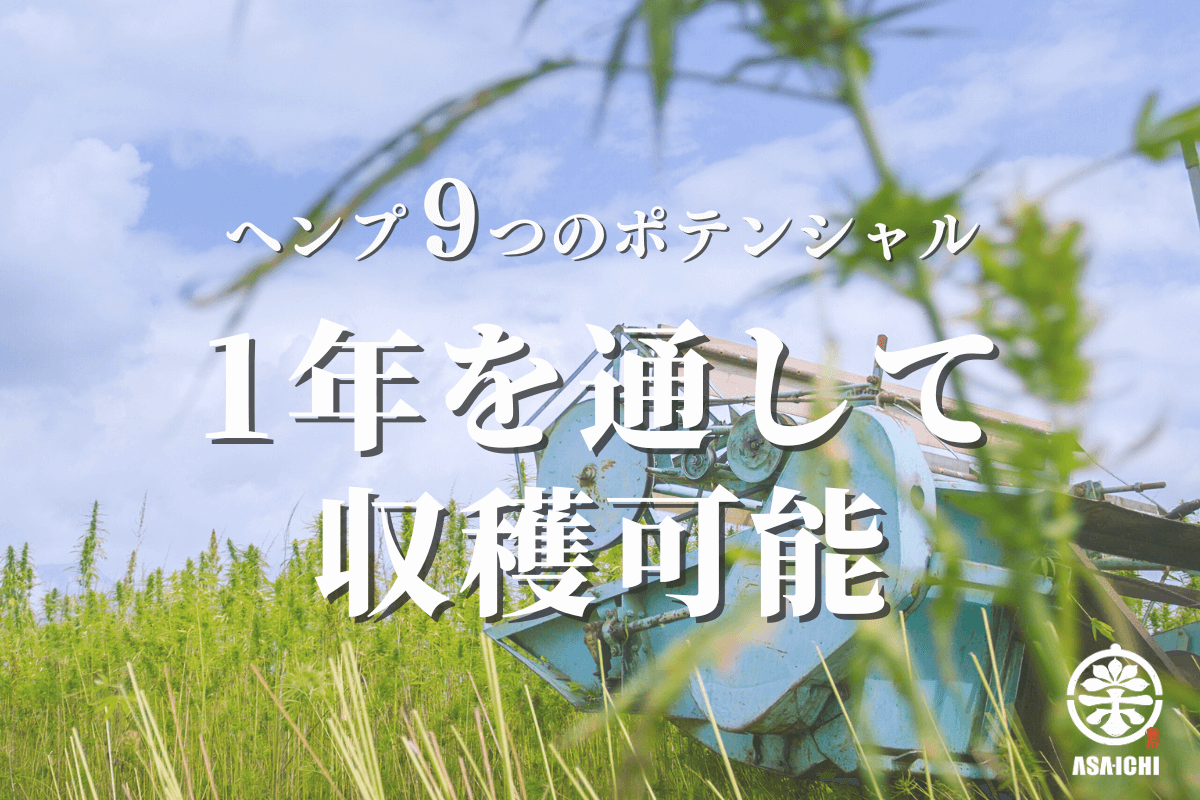 ヘンプ9つのポテンシャル「1年を通して収穫可能」