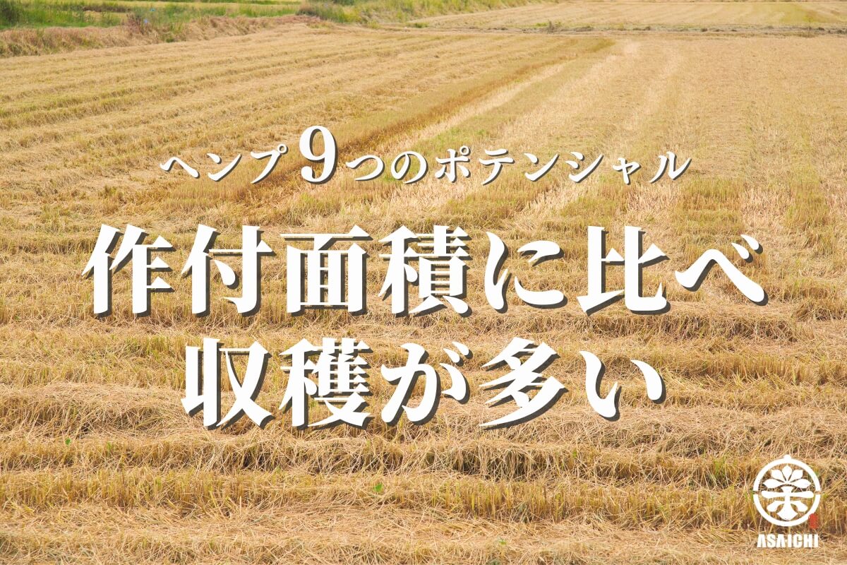 ヘンプ9つのポテンシャル「作付面積に比べ収穫が多い」