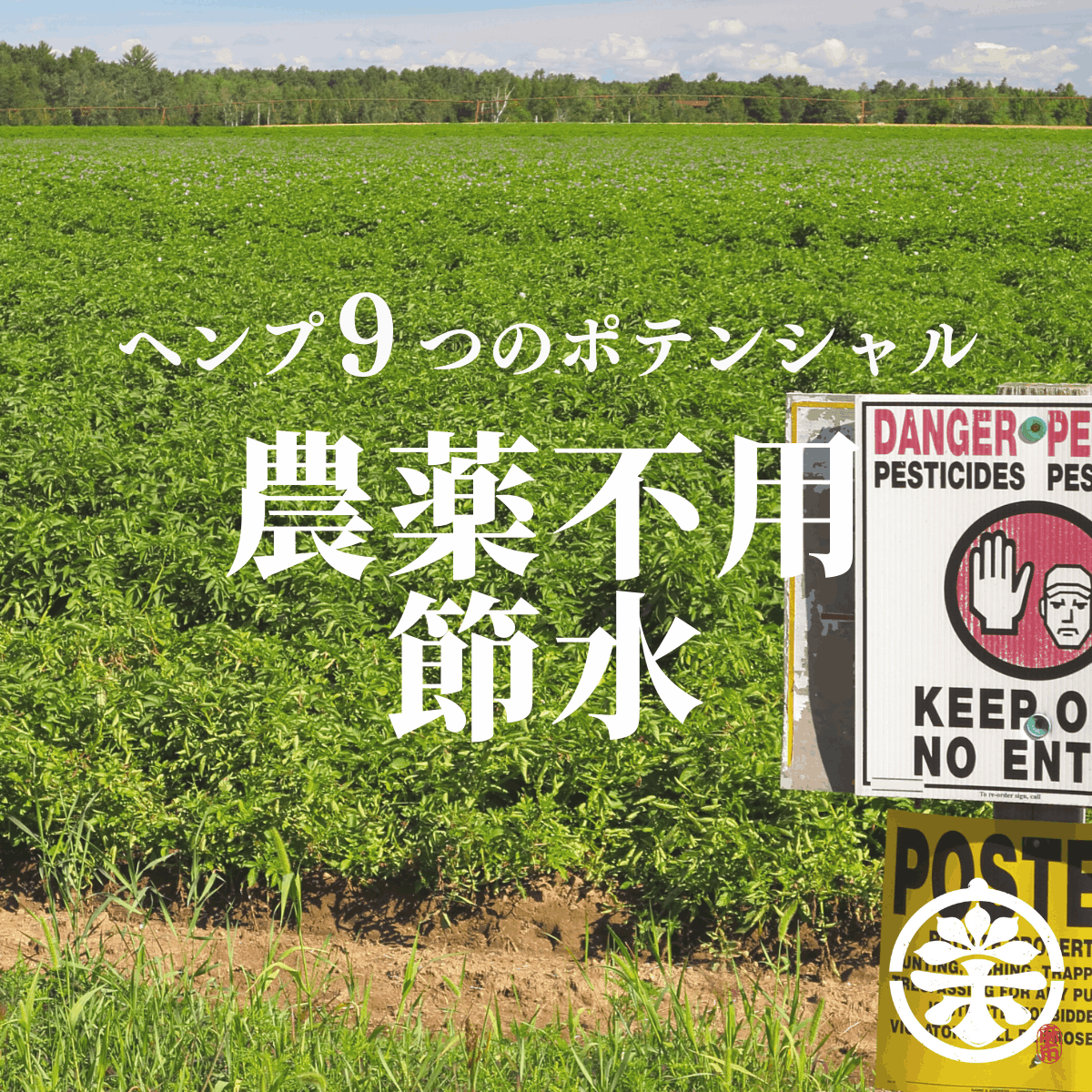 ヘンプ９つのポテンシャル -農薬不用 / 節水