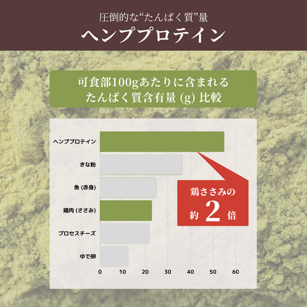 【お得な2袋/3袋セット】[ヘンプハーツ] 高品質ヘンププロテイン 500g 麻市 ASAICHI