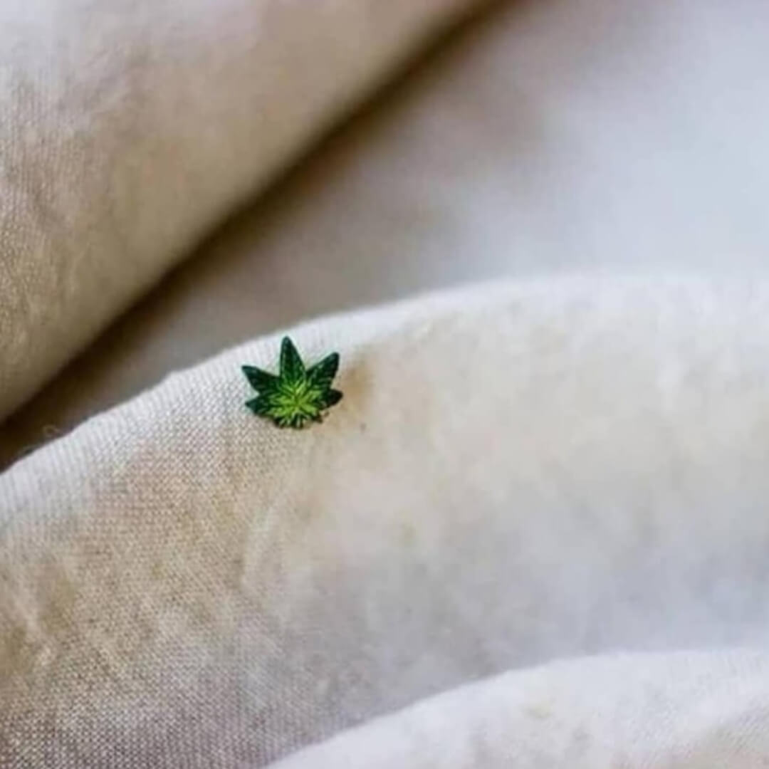 うさと天然素材ヘンプ100ベスト 素材から選ぶ,Hemp & Cotton（ヘンプ/大麻&綿） | Usaato